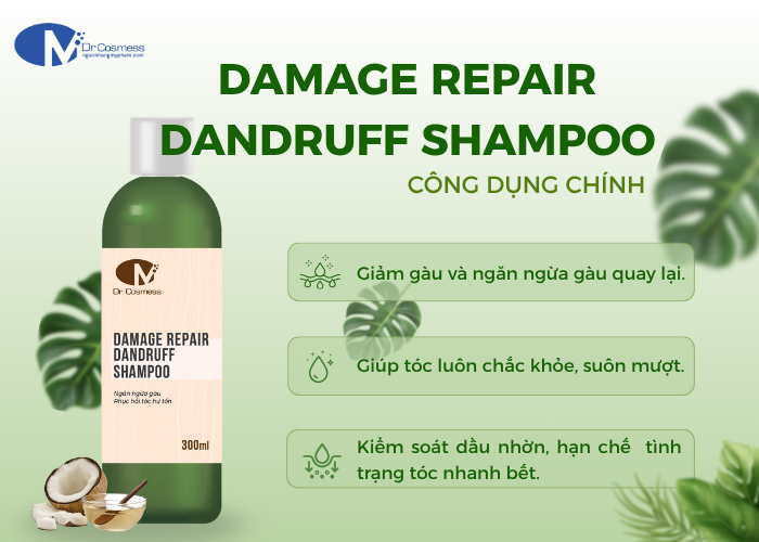 Công dụng chính của Damage Repair Dandruff Shampoo